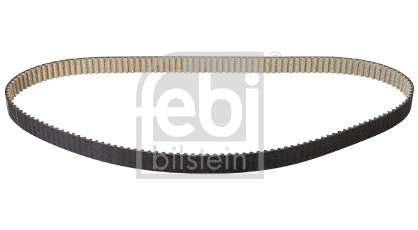 Timing Belt